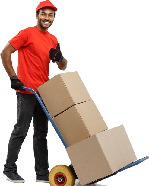 Packers and Movers in Vapi